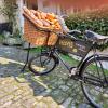 Gold Hill, Hovis Bike